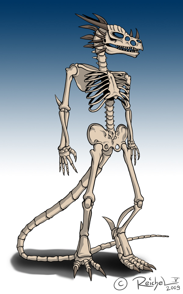 Groul's Skelett